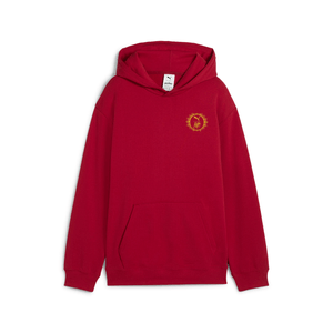 PUMA PUMA X HARRY POTTER RELAXED GRAPHIC HOODIE T