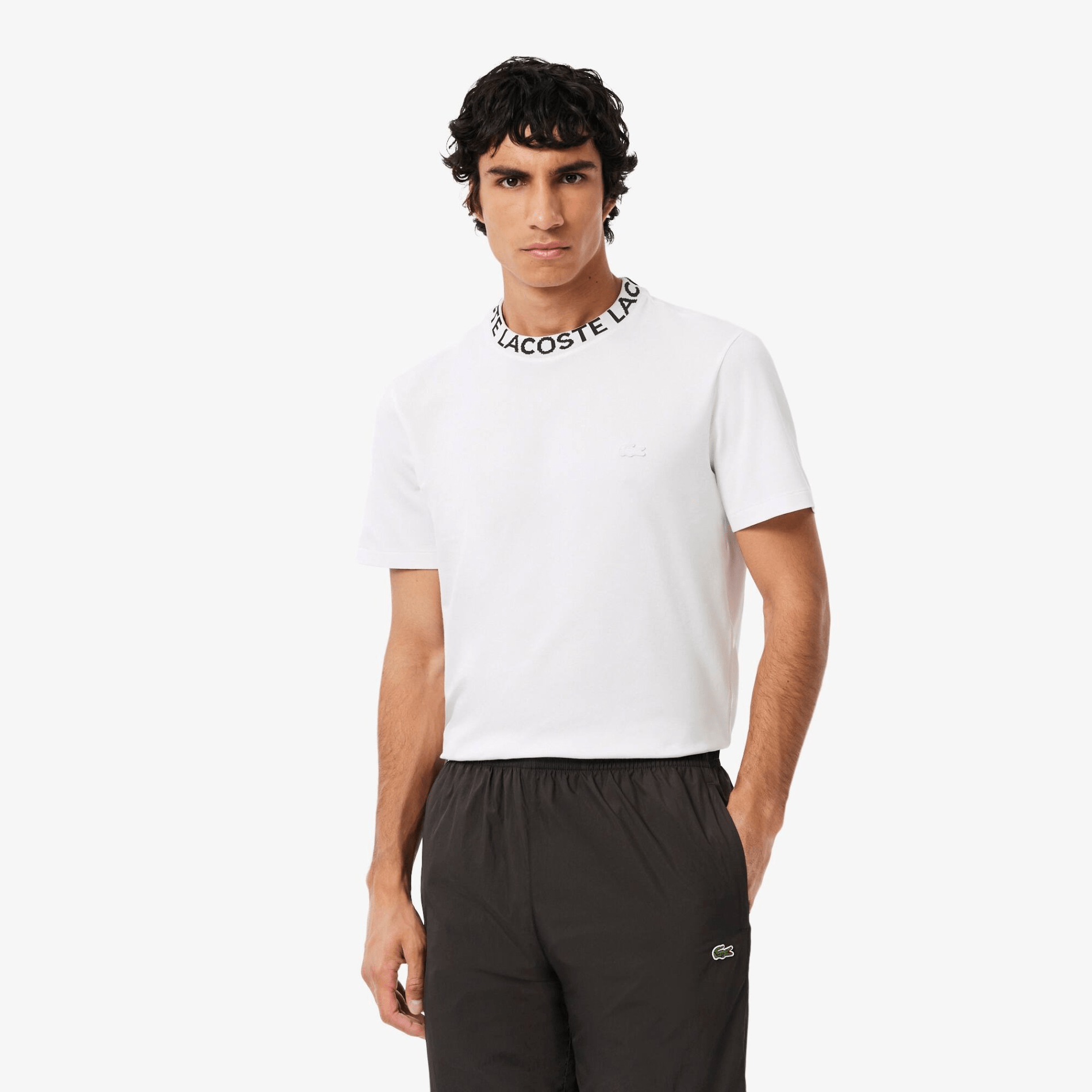 POLERA LACOSTE POLERA ALGODON HOMBRE