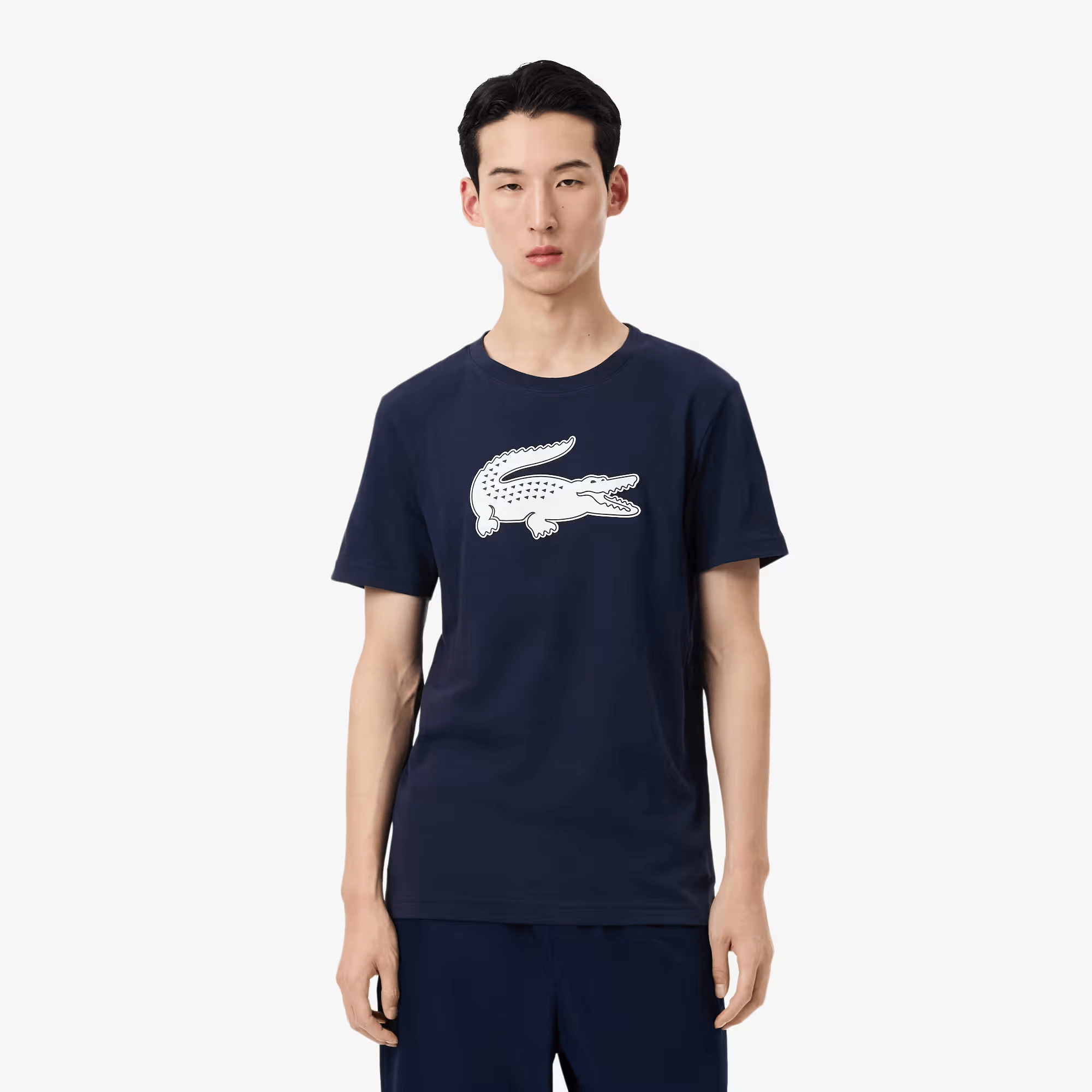 POLERA LACOSTE POLERA ALGODON HOMBRE