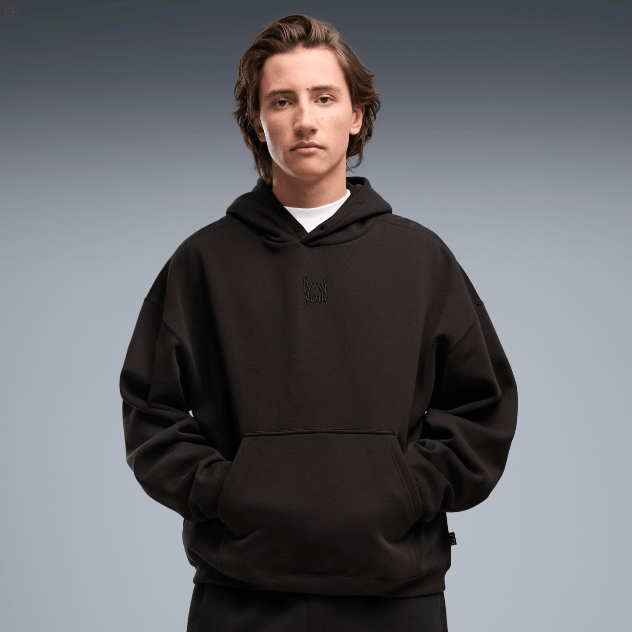 POLERON PUMA FUNDAMENTALS HOODIE FL M HOMBRE